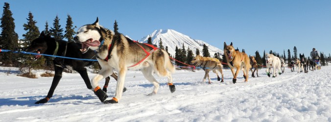 2014 Iditarod Rainy Pass