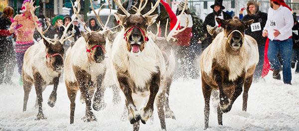 alaska.jpg.8de1f18bd5ddaaf78ec1221a429c280e